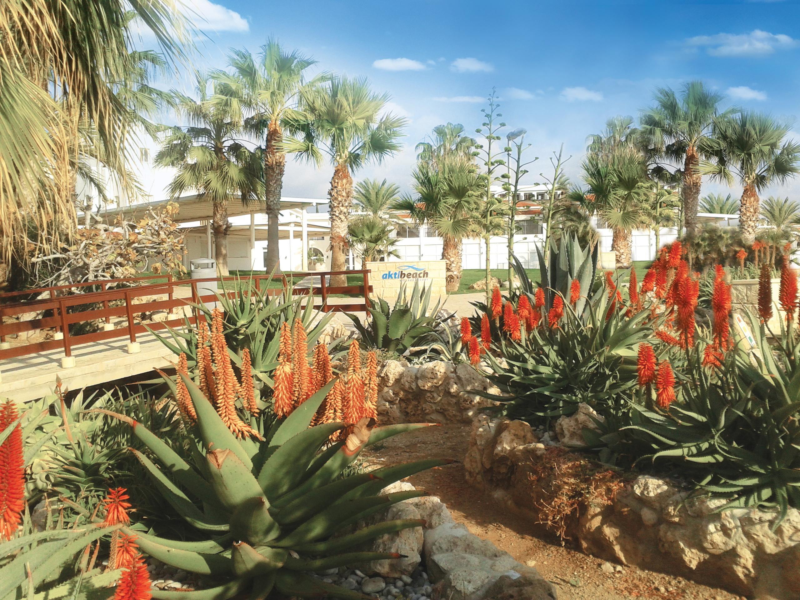 Akti Beach Hotel & Village Resort Klorakas Екстериор снимка